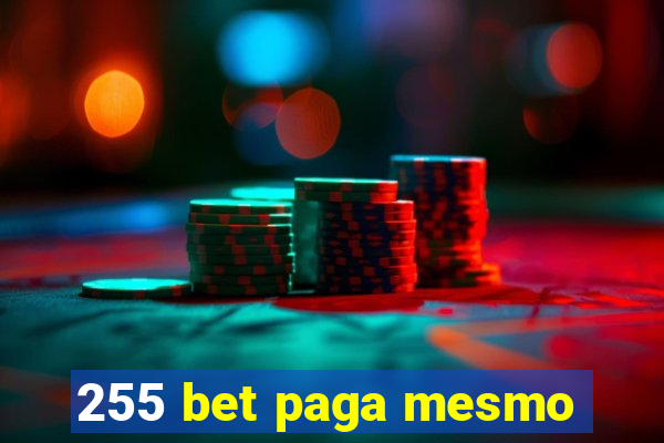 255 bet paga mesmo